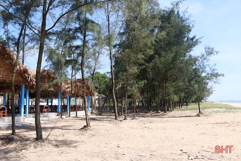 Sớm rà soát, giải quyết chồng lấn ranh giới hành lang bảo vệ bờ biển ở Nghi Xuân