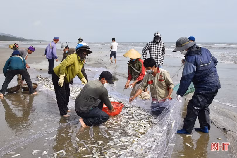 Lộc Hà phát huy lợi thế vùng biển cửa trong sản xuất ngư nghiệp