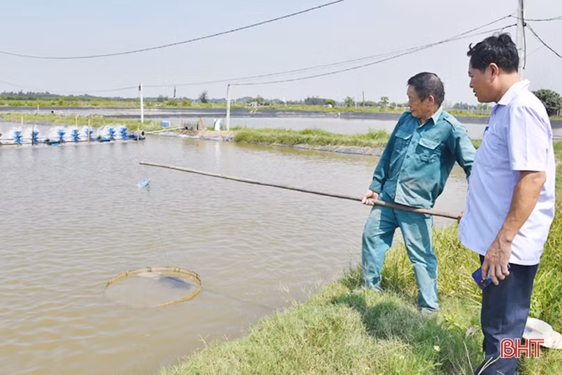 Lộc Hà phát huy lợi thế vùng biển cửa trong sản xuất ngư nghiệp