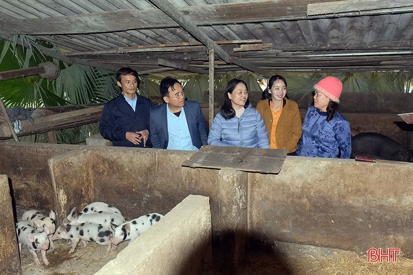 Đưa Hà Tĩnh trở thành tỉnh có công nghệ sinh học phát triển khá của cả nước