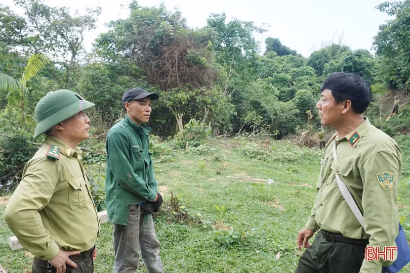 Hà Tĩnh xử lý nghiêm các vụ lấn chiếm đất lâm nghiệp, chặt phá rừng
