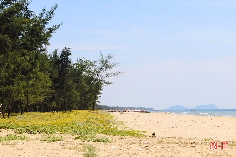 Sớm rà soát, giải quyết chồng lấn ranh giới hành lang bảo vệ bờ biển ở Nghi Xuân