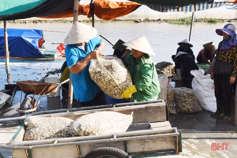 Lộc Hà phát huy lợi thế vùng biển cửa trong sản xuất ngư nghiệp