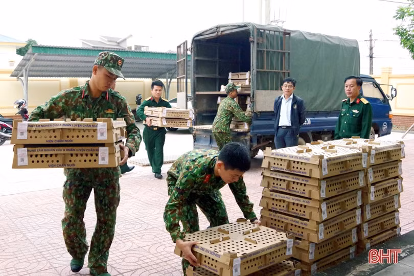 Thêm nhiều món quà ý nghĩa hướng về người dân Hà Tĩnh