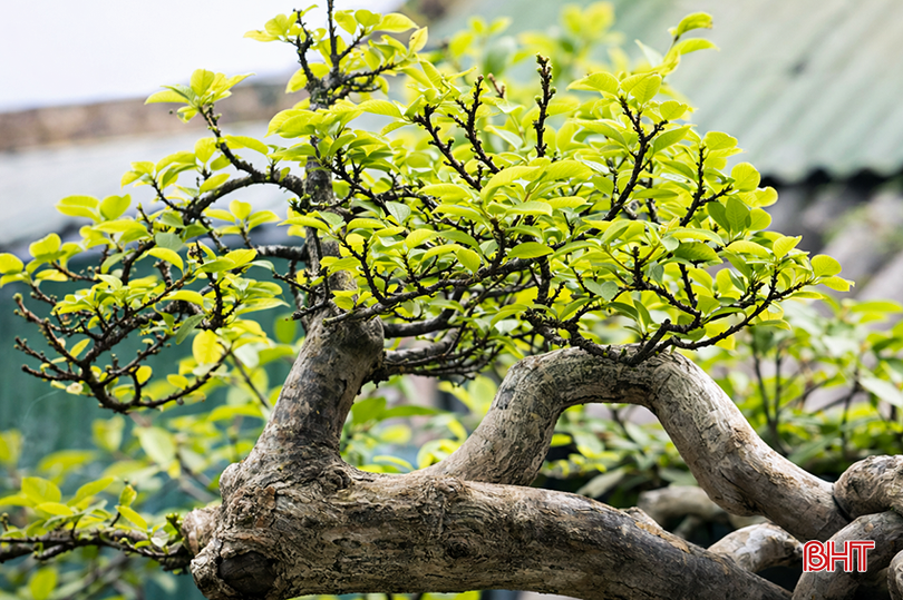 bqbht_br_d30b330b-f3c9-4237-ae9d-583ab97f8efb.png