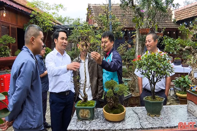 trung-bay-bonsai.jpg