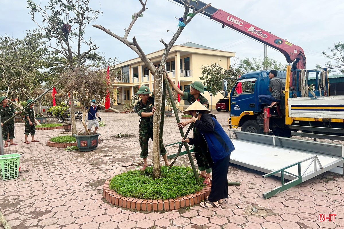 bqbht_br_tieu-hoc-xuan-lien-1.jpg