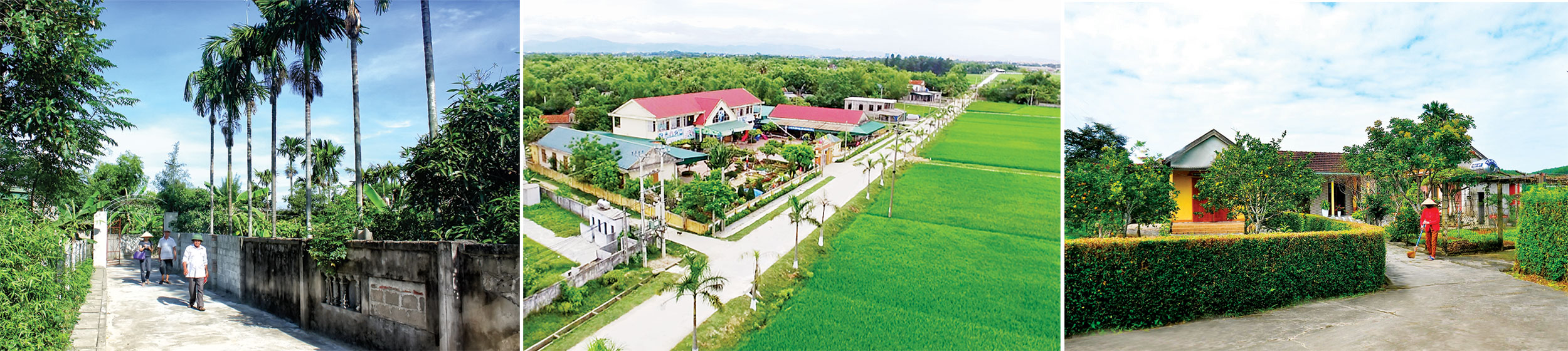 Xây dựng Hà Tĩnh đạt chuẩn nông thôn mới - khát vọng từ lũy tre làng
