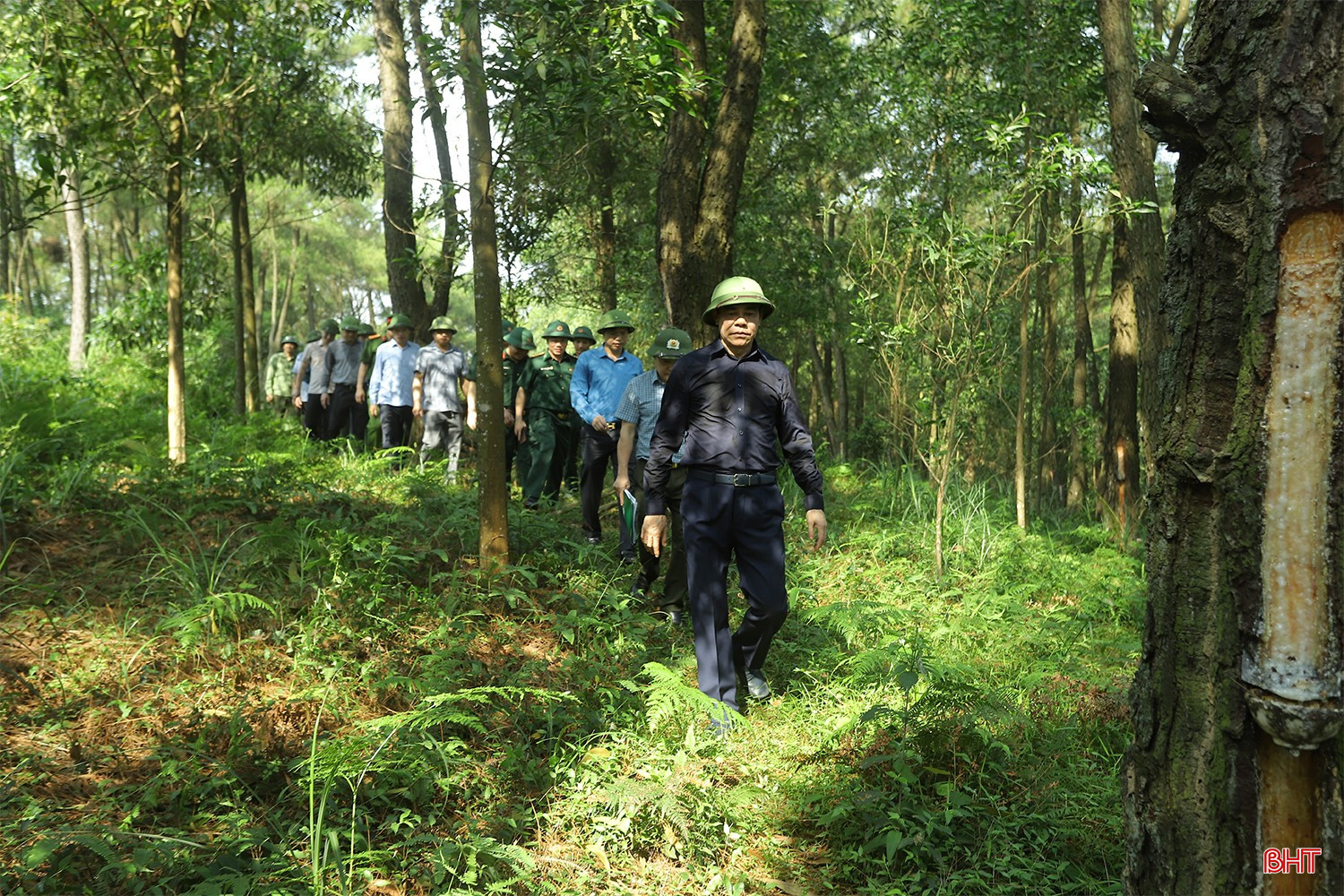 bqbht_br_phong-chay-chua-chay-rung-8a.jpg