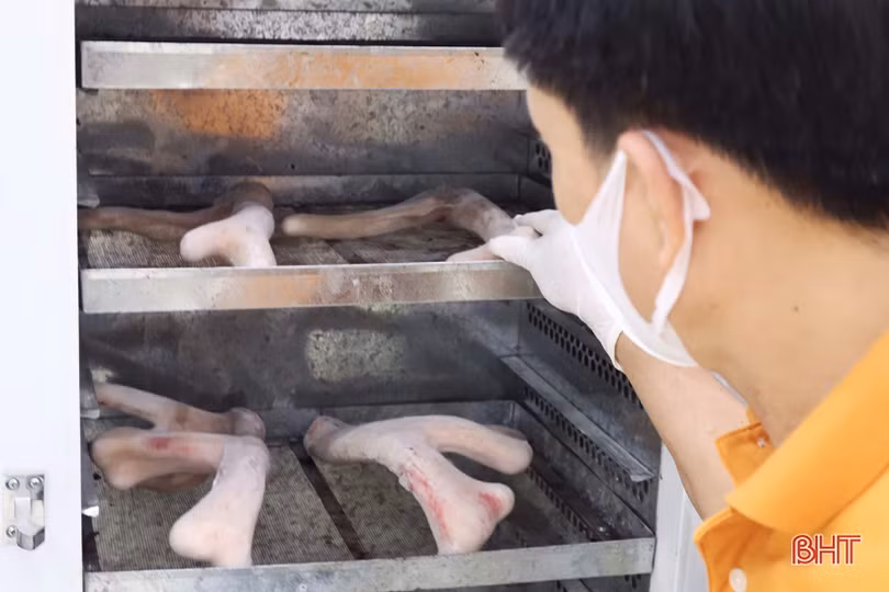 Nỗ lực đưa đặc sản nhung hươu Hà Tĩnh vươn xa