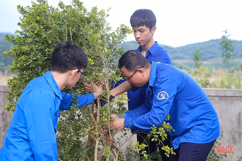 Theo chân đội tình nguyện trong chiến dịch “Mùa hè xanh”