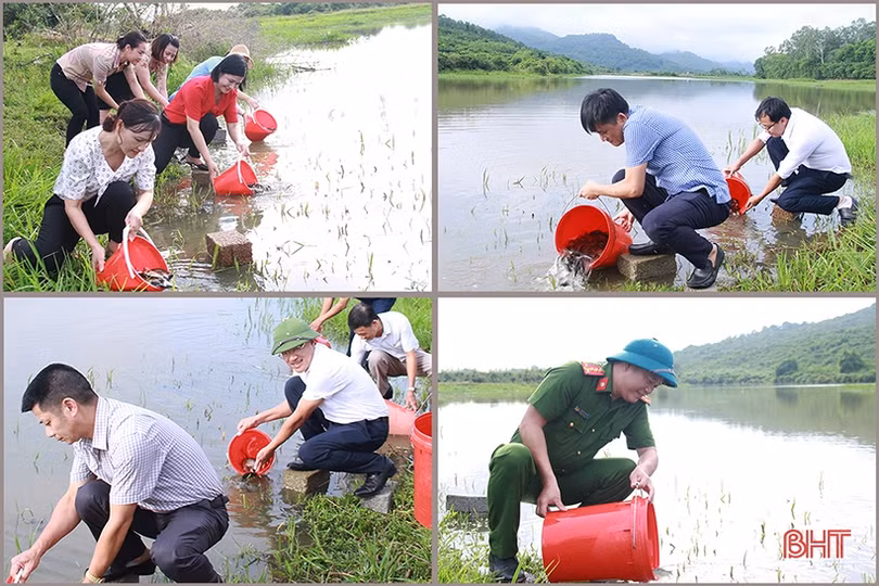 Nghi Xuân thả hơn 5 tạ cá tái tạo nguồn thủy sản