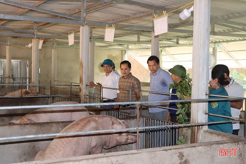 Cẩm Xuyên ký kết hợp tác sản xuất nông nghiệp hữu cơ tuần hoàn với Tập đoàn Quế Lâm