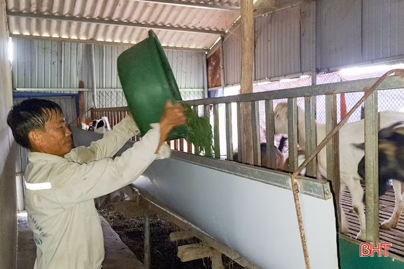 Trang trại tiền tỷ trên đồi hoang xưa của cán bộ nông dân xã ở Hà Tĩnh