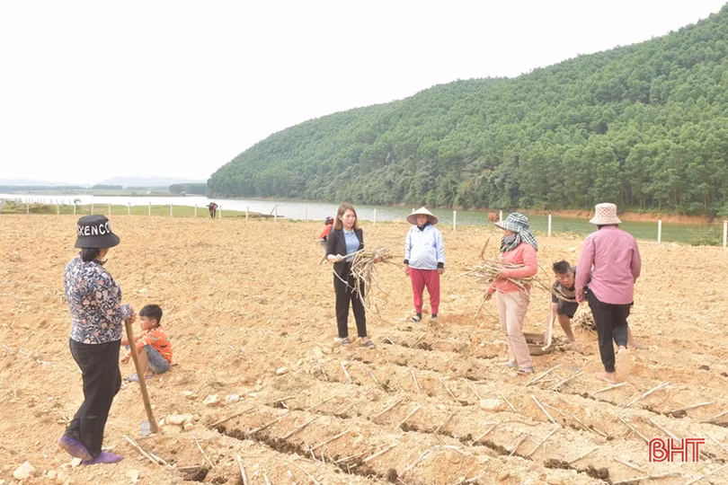Những người trẻ Hà Tĩnh xung kích nơi miền biên viễn