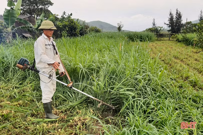 Trang trại tiền tỷ trên đồi hoang xưa của cán bộ nông dân xã ở Hà Tĩnh