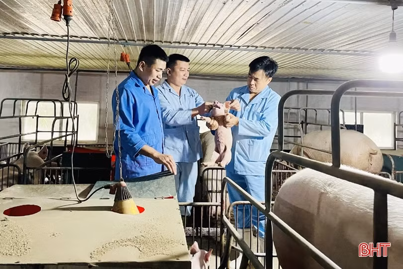 Nhiều hoạt động ý nghĩa mừng Mitraco Hà Tĩnh tròn 20 tuổi