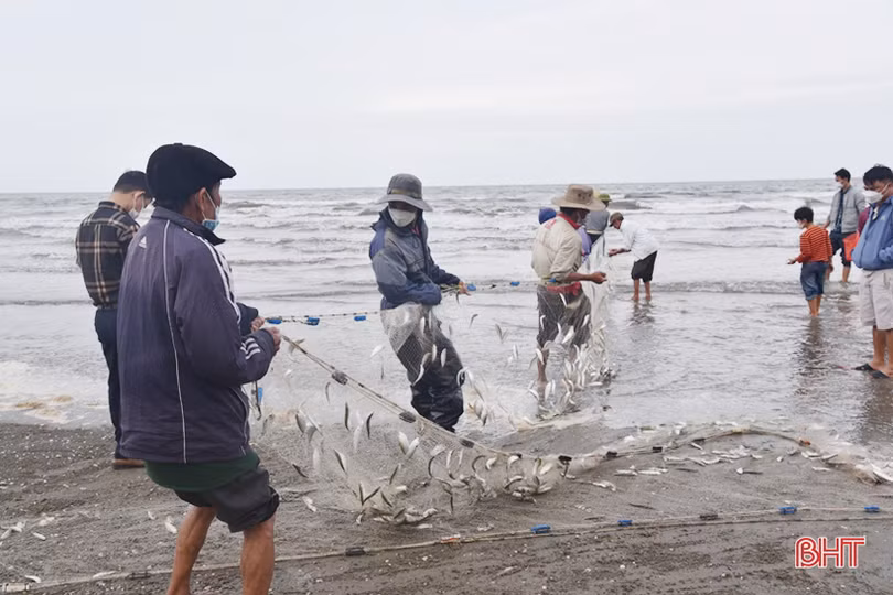 Các tổ lưới rùng của ngư dân Thịnh Lộc vào mùa khai thác hải sản