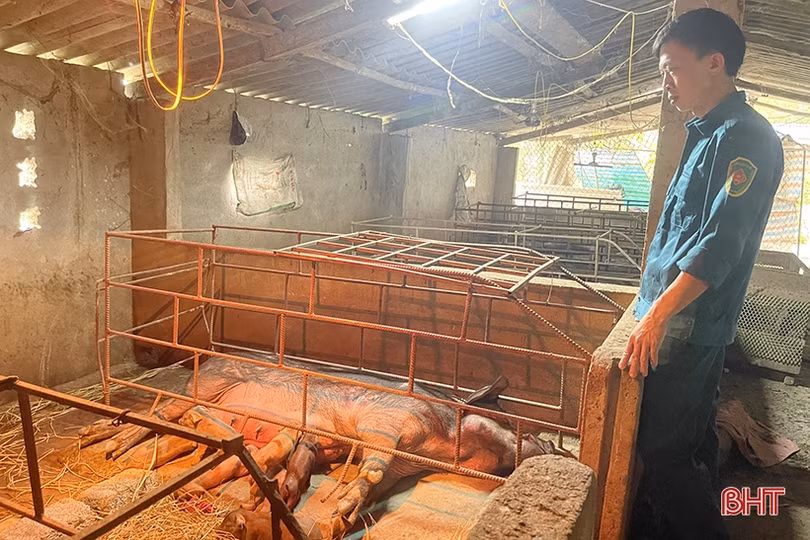 Cán bộ đoàn nhiệt huyết, giỏi làm kinh tế ở Đức Thọ