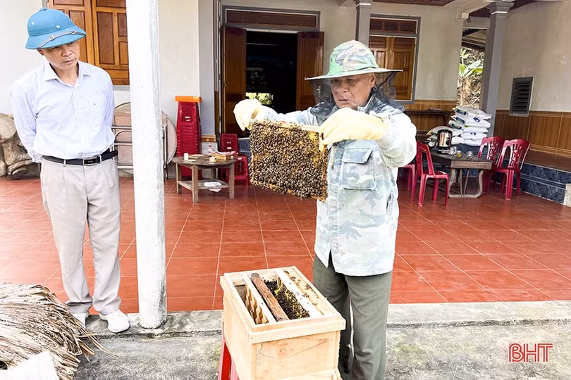 Nghề nuôi ong cho thu nhập cao ở vùng bán sơn địa Đức Thọ