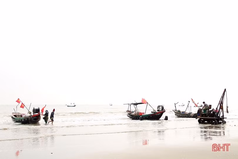 Ngư dân miền biển phía Bắc Hà Tĩnh được mùa cá trích