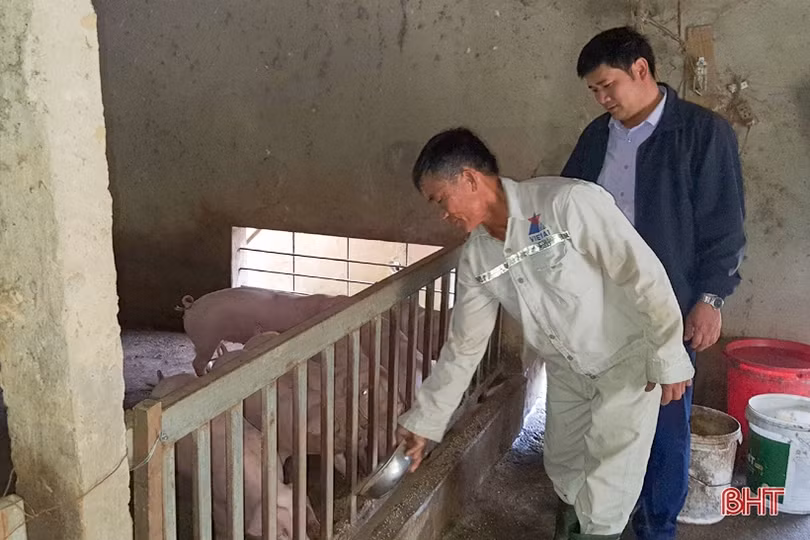 Trang trại tiền tỷ trên đồi hoang xưa của cán bộ nông dân xã ở Hà Tĩnh
