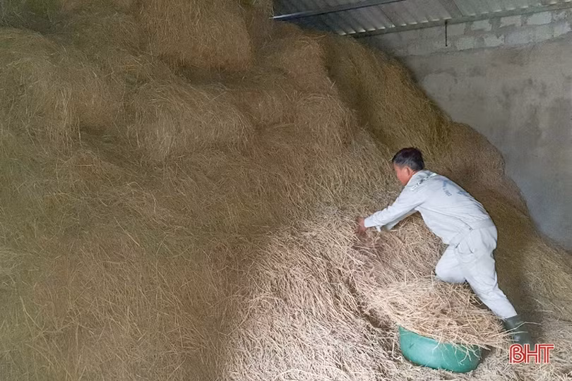 Trang trại tiền tỷ trên đồi hoang xưa của cán bộ nông dân xã ở Hà Tĩnh