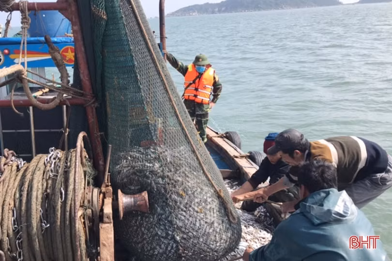 Hà Tĩnh kiên quyết đấu tranh, ngăn chặn tàu giã cào