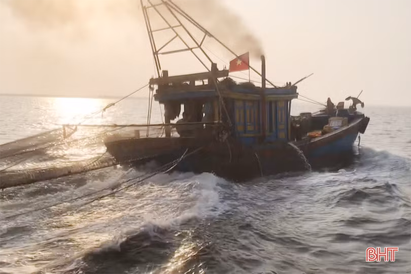Hà Tĩnh kiên quyết đấu tranh, ngăn chặn tàu giã cào