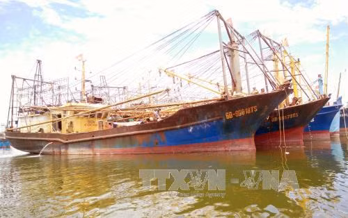 bo nn ptnt bao cao chinh phu ve chat luong tau ca vo thep