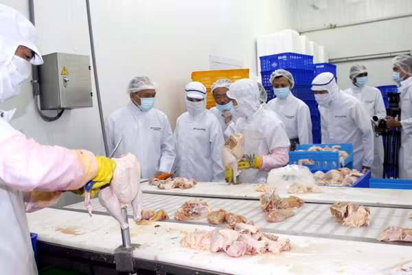nhat ban chinh thuc dong y nhap khau thit ga viet nam