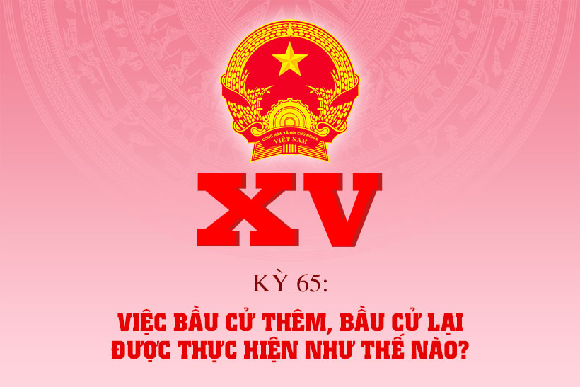 Việc bầu cử thêm, bầu cử lại được thực hiện như thế nào?