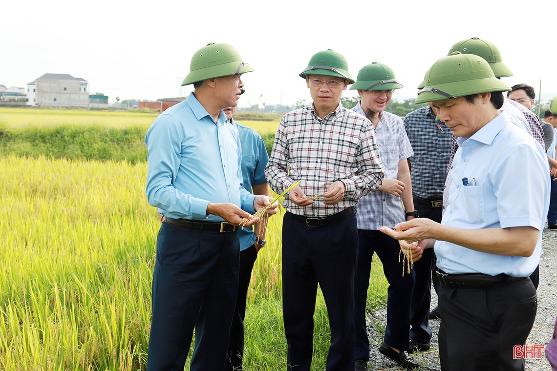 Chủ tịch UBND tỉnh Hà Tĩnh: Tập trung đẩy nhanh tiến độ các dự án đầu tư công ở Đức Thọ