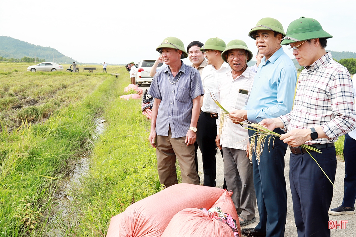 Tháo gỡ vướng mắc, đẩy nhanh tiến độ thi công các dự án ở Nghi Xuân