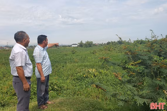 Dòng chảy bị thu hẹp, nhiều tuyến sông giảm khả năng tiêu thoát 