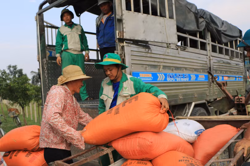Doanh nghiệp thu mua lúa hơn giá thị trường, nông dân Hà Tĩnh phấn khởi