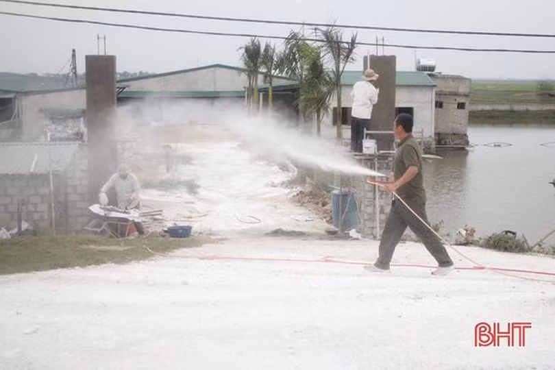 Chủ tịch UBND tỉnh chỉ đạo tăng cường phòng chống dịch tả lợn Châu Phi