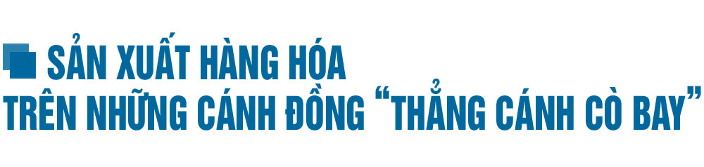 Phát triển kinh tế trong xây dựng huyện Can Lộc đạt chuẩn NTM nâng cao (bài 1): Sản xuất theo chiều sâu ở 3 vùng sinh thái