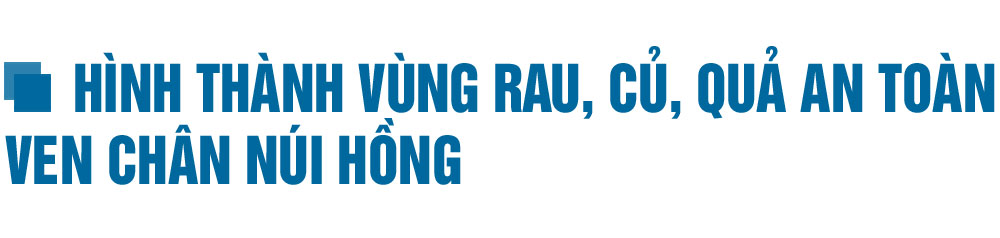 Phát triển kinh tế trong xây dựng huyện Can Lộc đạt chuẩn NTM nâng cao (bài 1): Sản xuất theo chiều sâu ở 3 vùng sinh thái