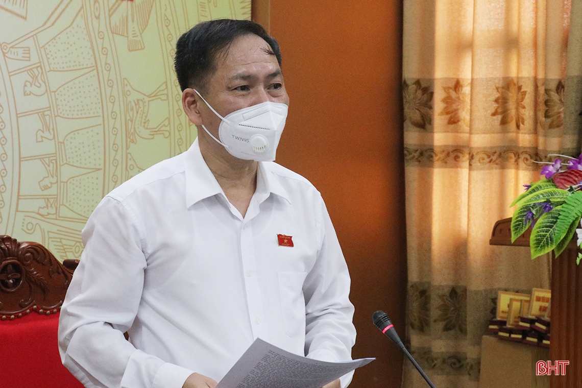 Đại biểu Quốc hội Hà Tĩnh thảo luận tổ về tình hình KT-XH gắn với phòng chống dịch COVID-19