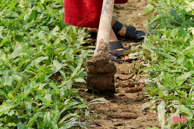 bqbht_br_0173.jpg