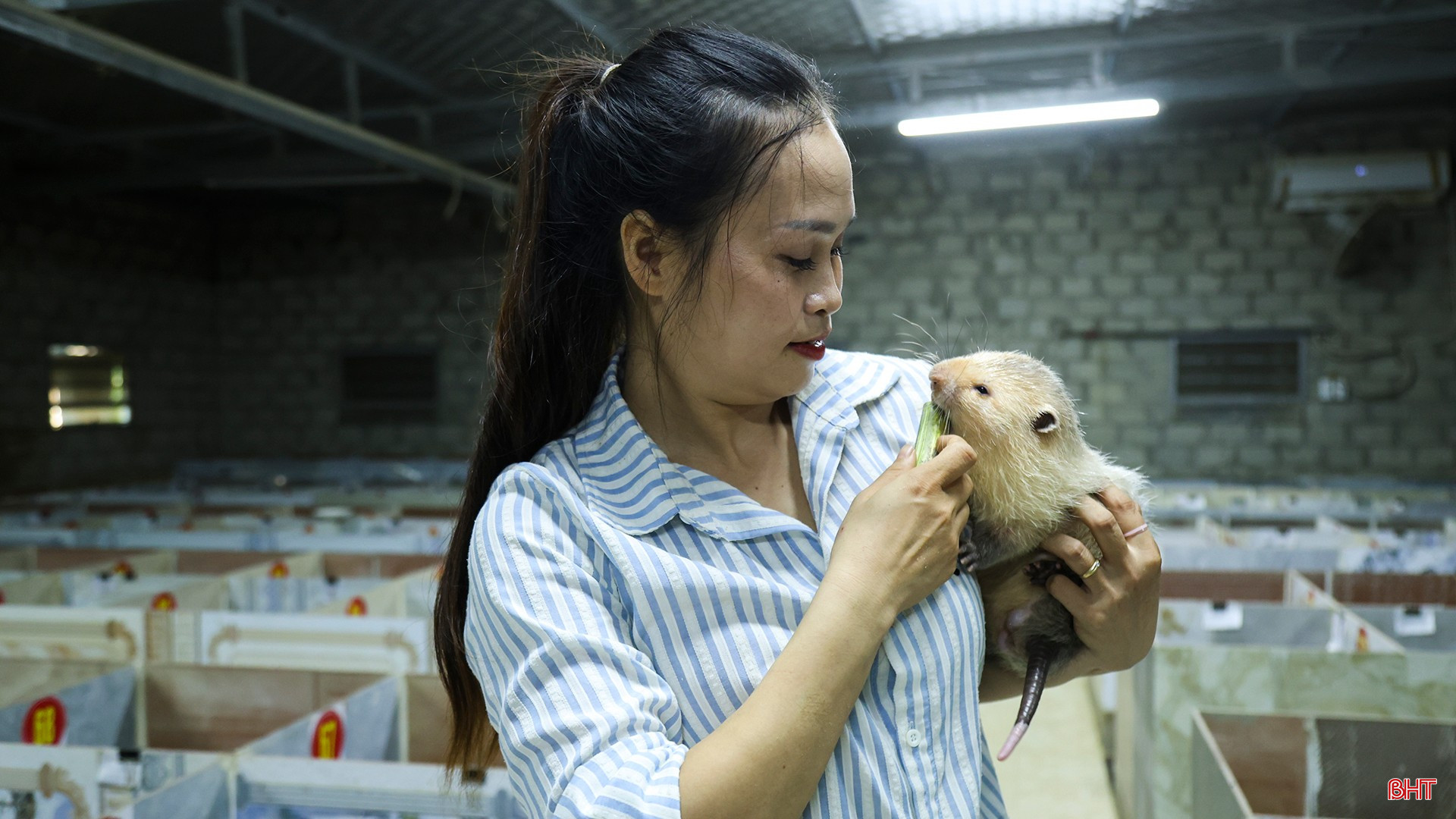 bqbht_br_anh-147.jpg