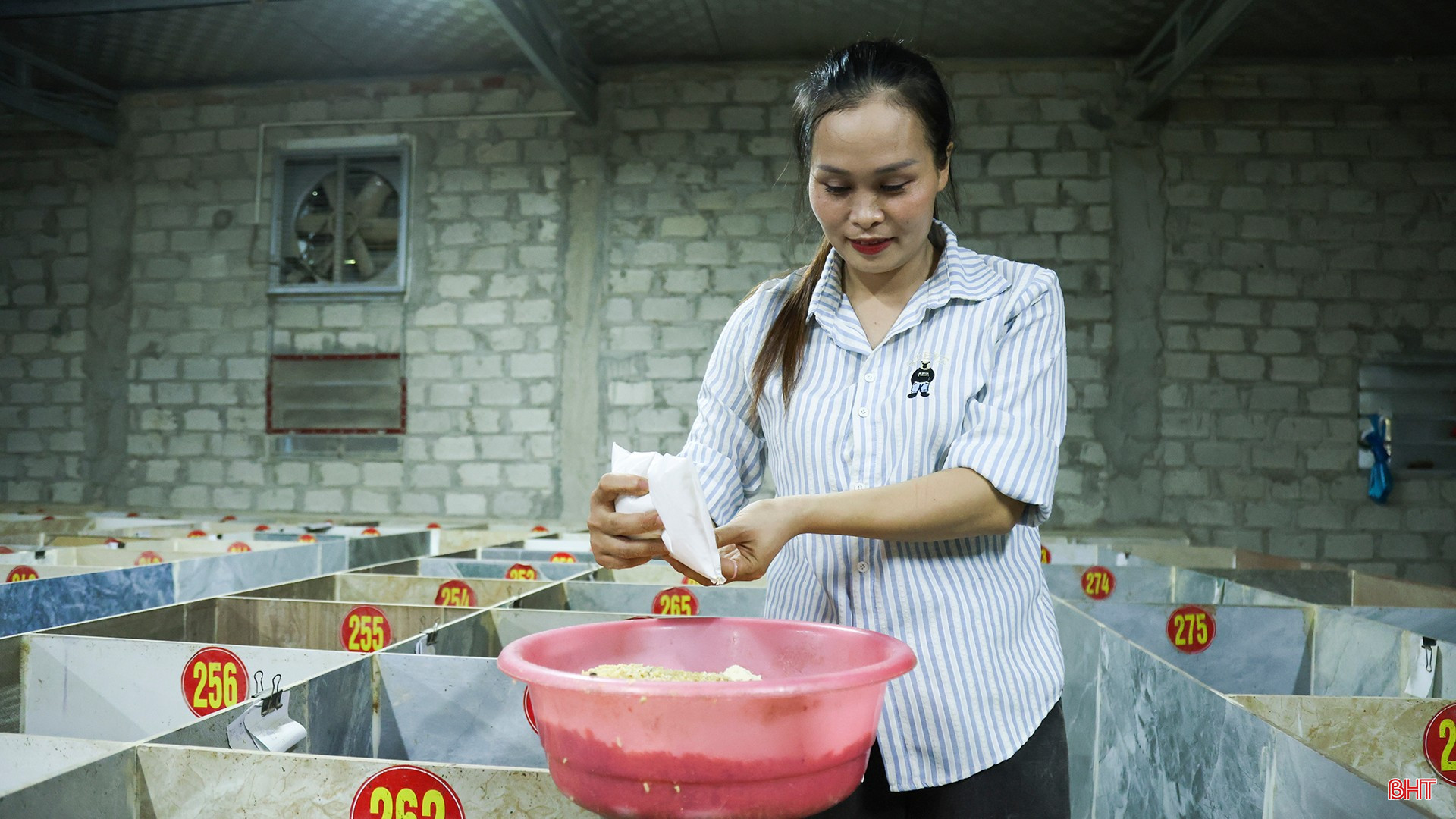 bqbht_br_anh-1734.jpg
