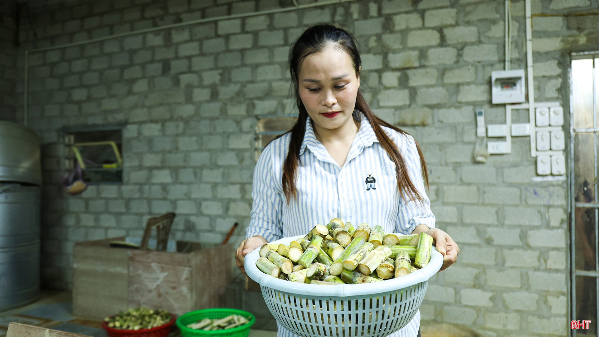 bqbht_br_anh-2189.jpg