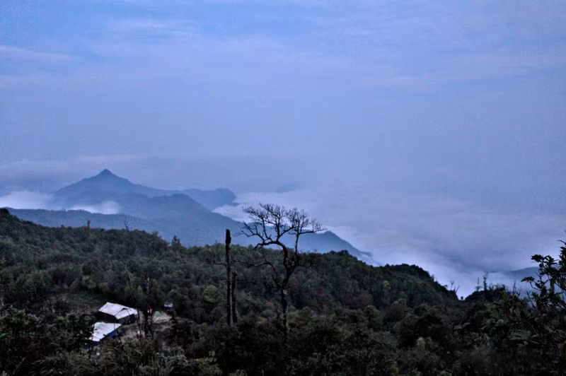 vuot nang gio chinh phuc dinh chieu lau thi