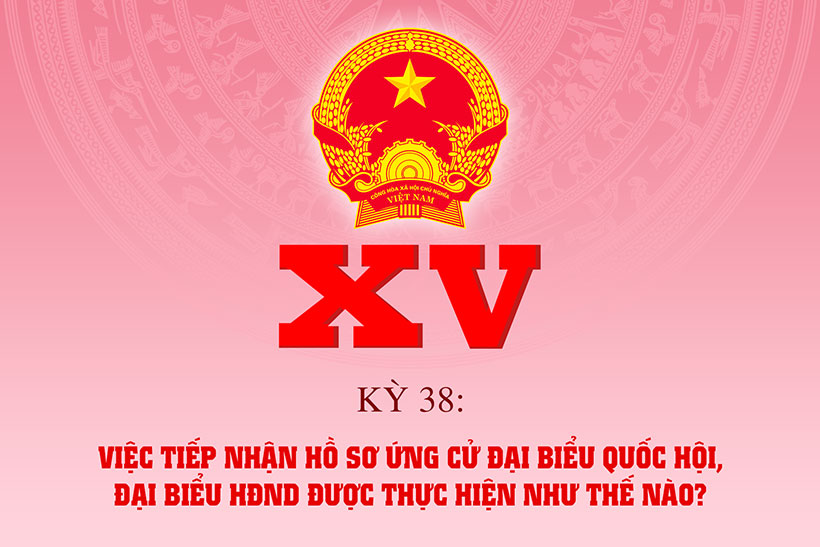 Việc tiếp nhận hồ sơ ứng cử đại biểu Quốc hội, đại biểu HĐND được thực hiện như thế nào?