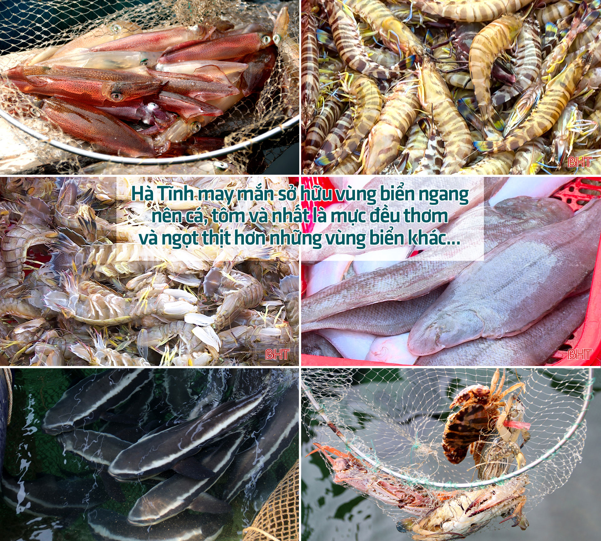Cầu Cửa Hội kết nối du lịch biển Hà Tĩnh