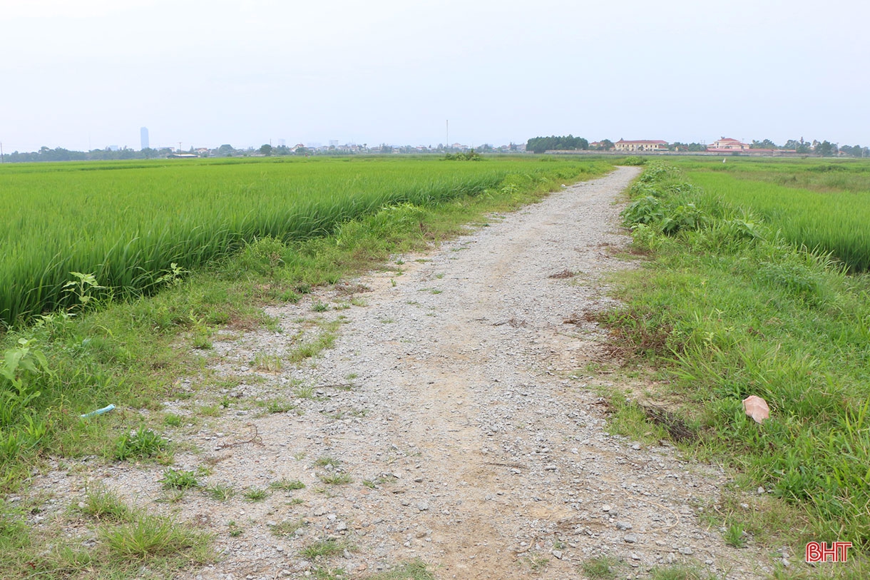 Đi tìm giá trị “lõi” cho nông nghiệp đô thị TP Hà Tĩnh (bài 1): Tiềm năng lớn vẫn khó cạnh tranh