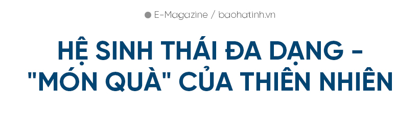 Đi tìm giá trị “lõi” cho nông nghiệp đô thị TP Hà Tĩnh (bài 1): Tiềm năng lớn vẫn khó cạnh tranh