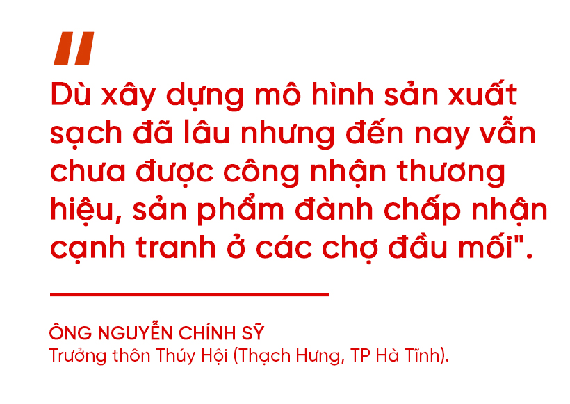 Đi tìm giá trị “lõi” cho nông nghiệp đô thị TP Hà Tĩnh (bài 1): Tiềm năng lớn vẫn khó cạnh tranh